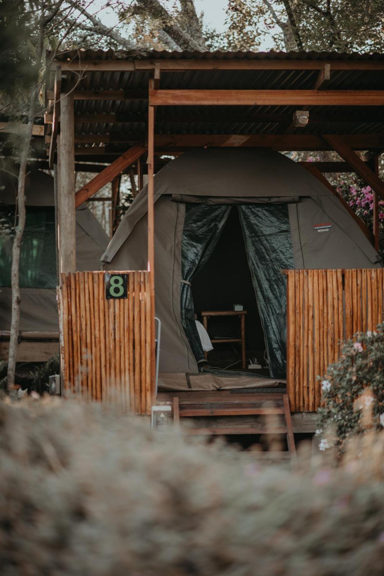 Storms River Forest Lodge สตอร์มริเวอร์ ภายนอก รูปภาพ
