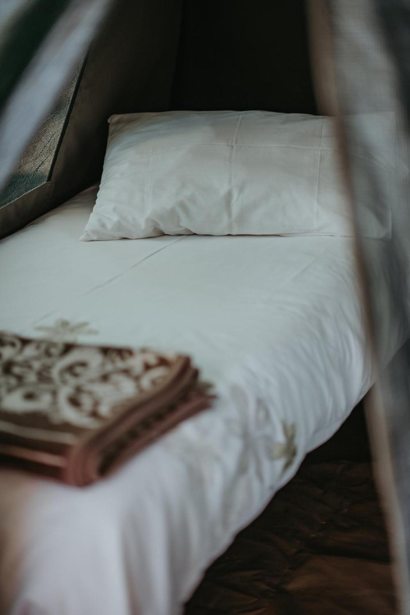 Storms River Forest Lodge สตอร์มริเวอร์ ภายนอก รูปภาพ