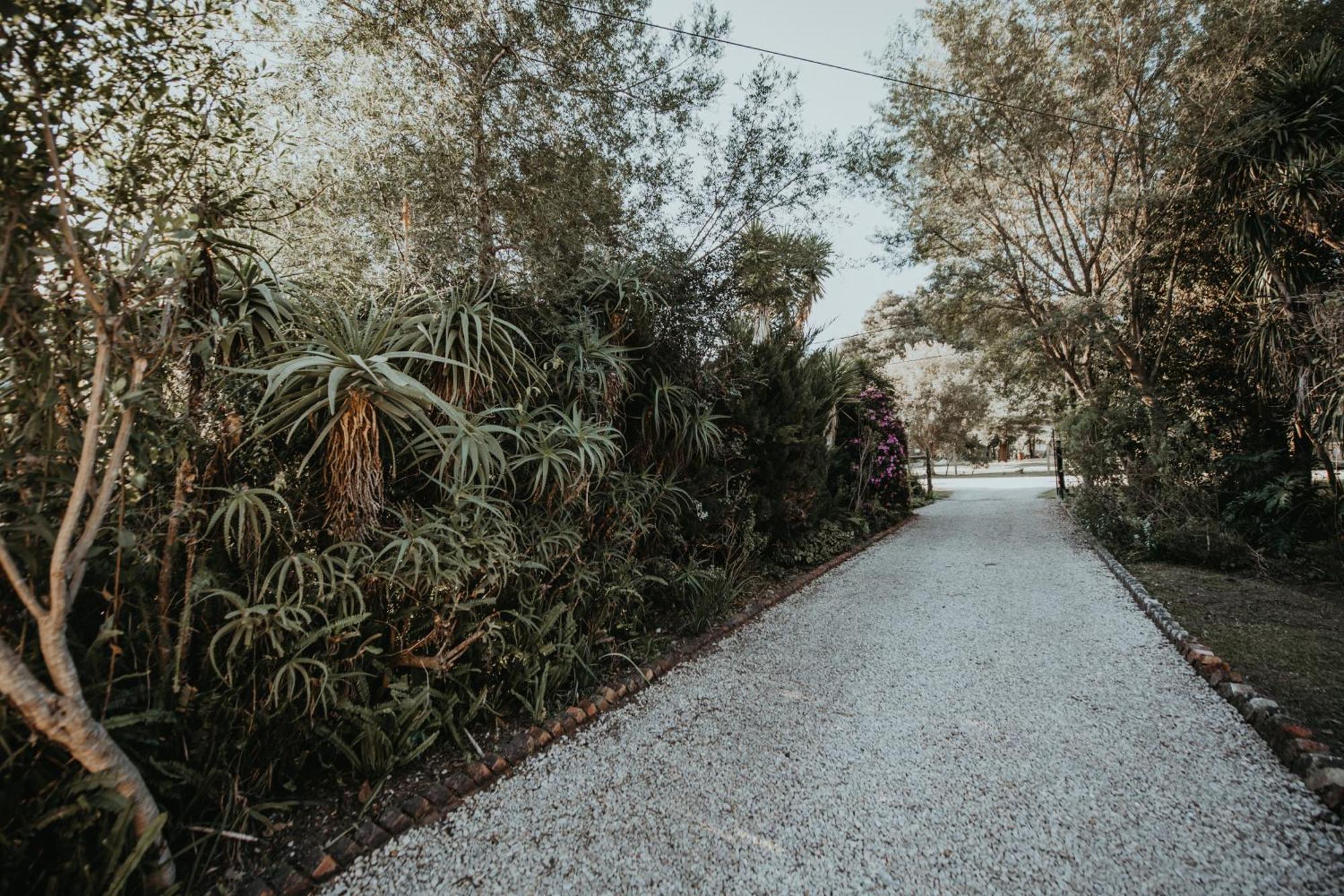 Storms River Forest Lodge สตอร์มริเวอร์ ภายนอก รูปภาพ