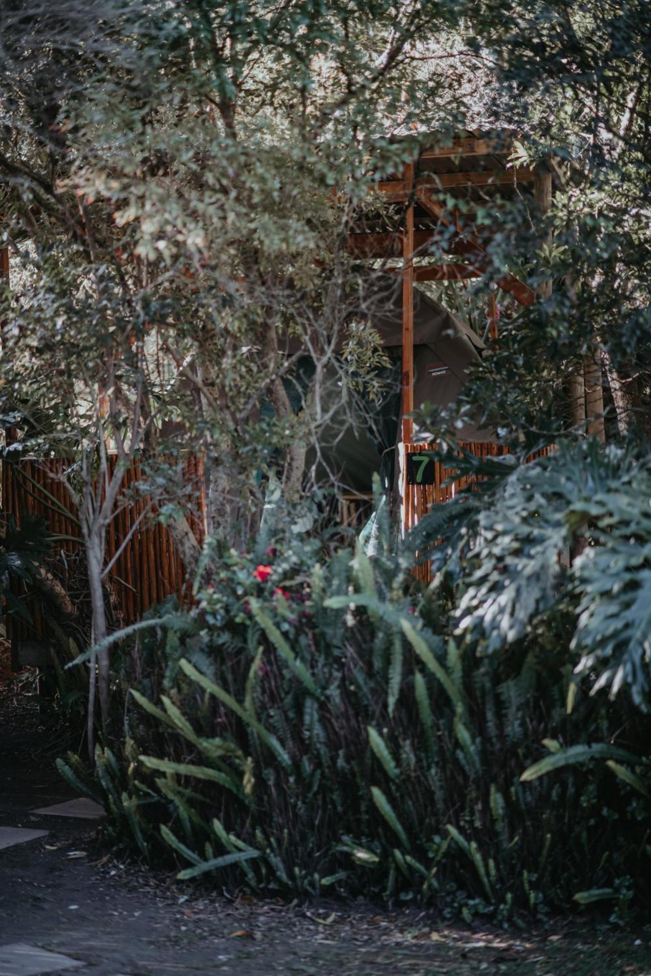 Storms River Forest Lodge สตอร์มริเวอร์ ภายนอก รูปภาพ