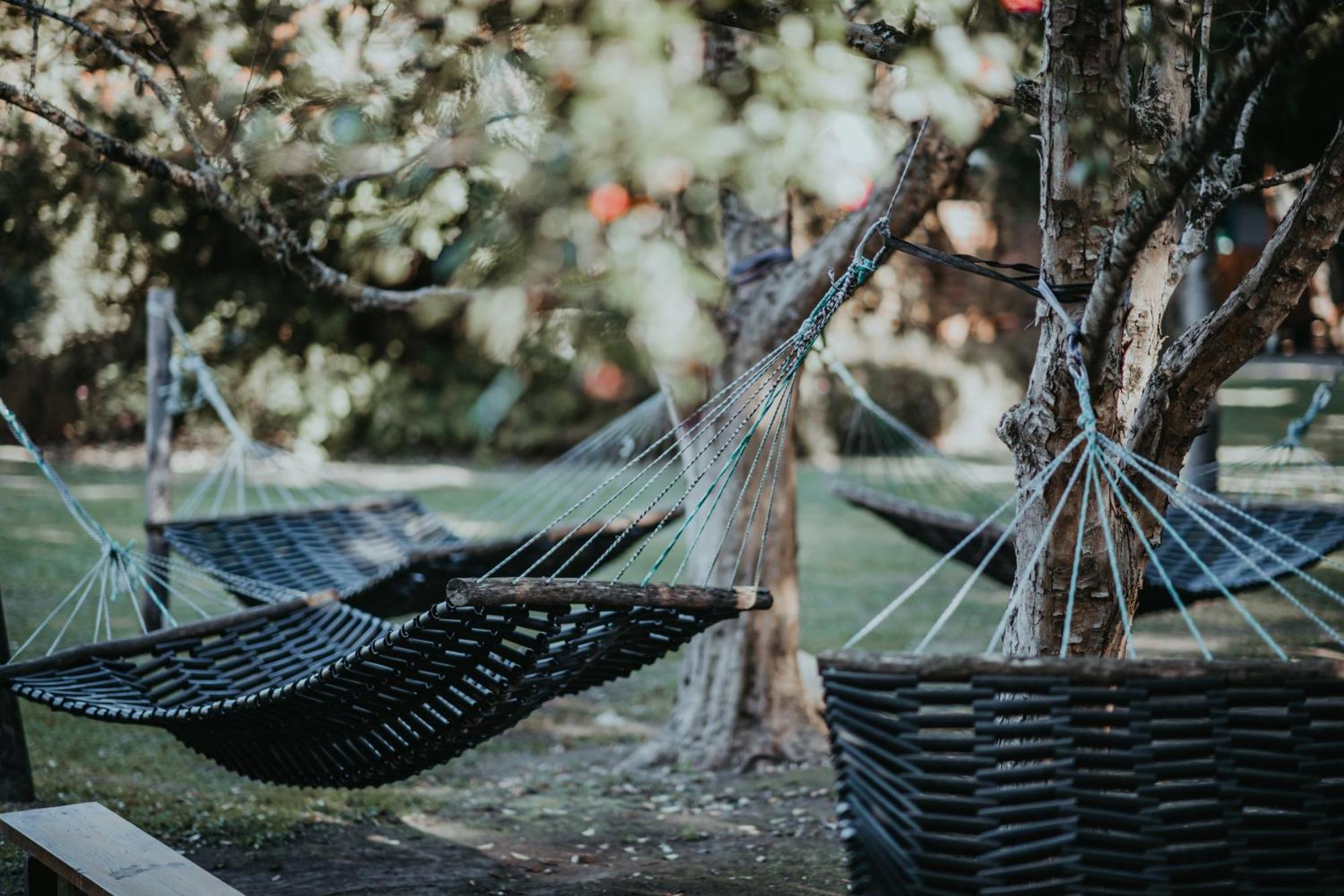 Storms River Forest Lodge สตอร์มริเวอร์ ภายนอก รูปภาพ