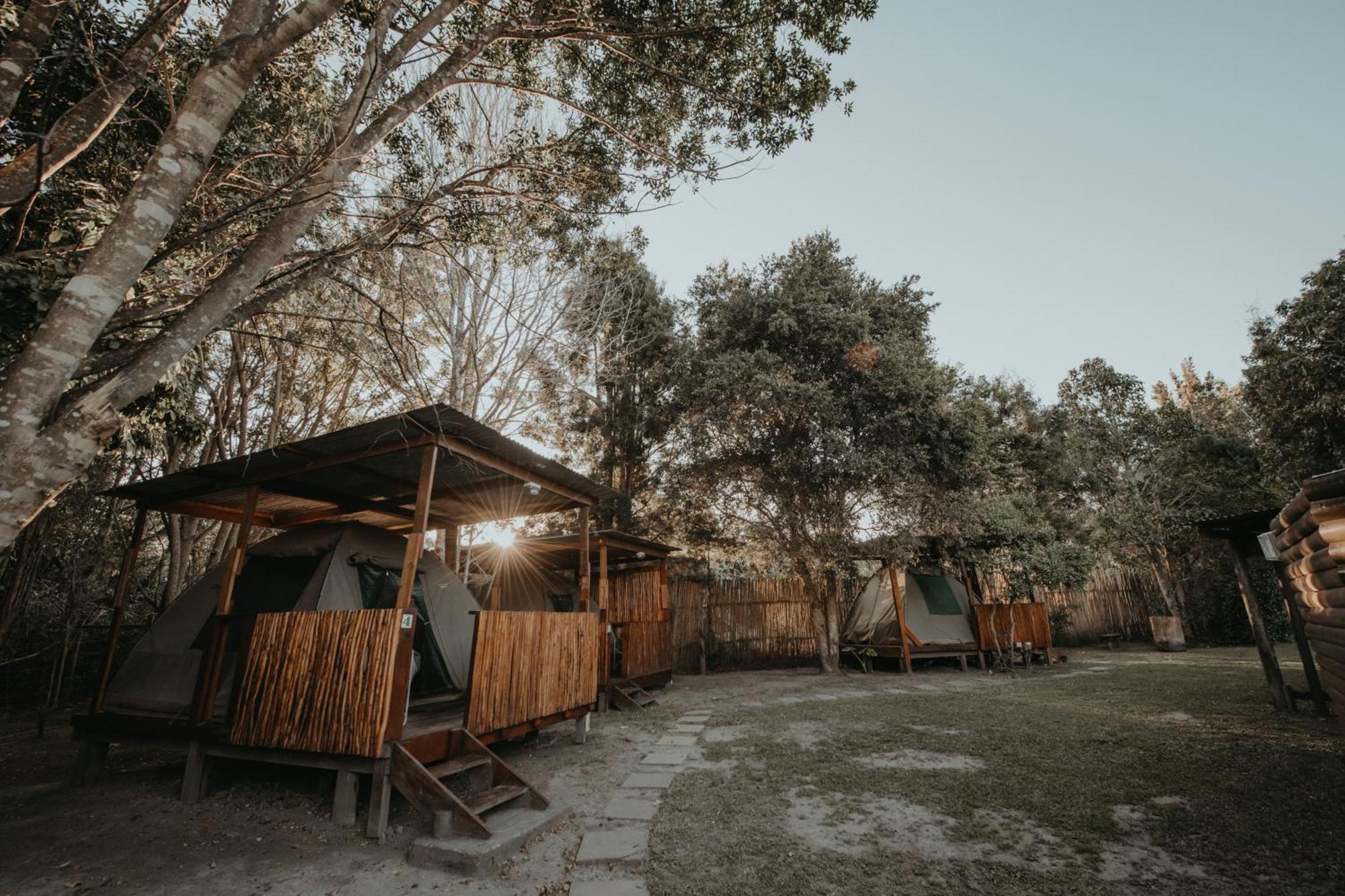 Storms River Forest Lodge สตอร์มริเวอร์ ภายนอก รูปภาพ